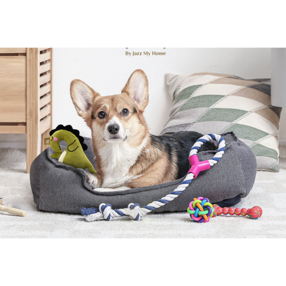 Jazz My Home Dinosaur Dog Toy for Dogs (Hand-Made)