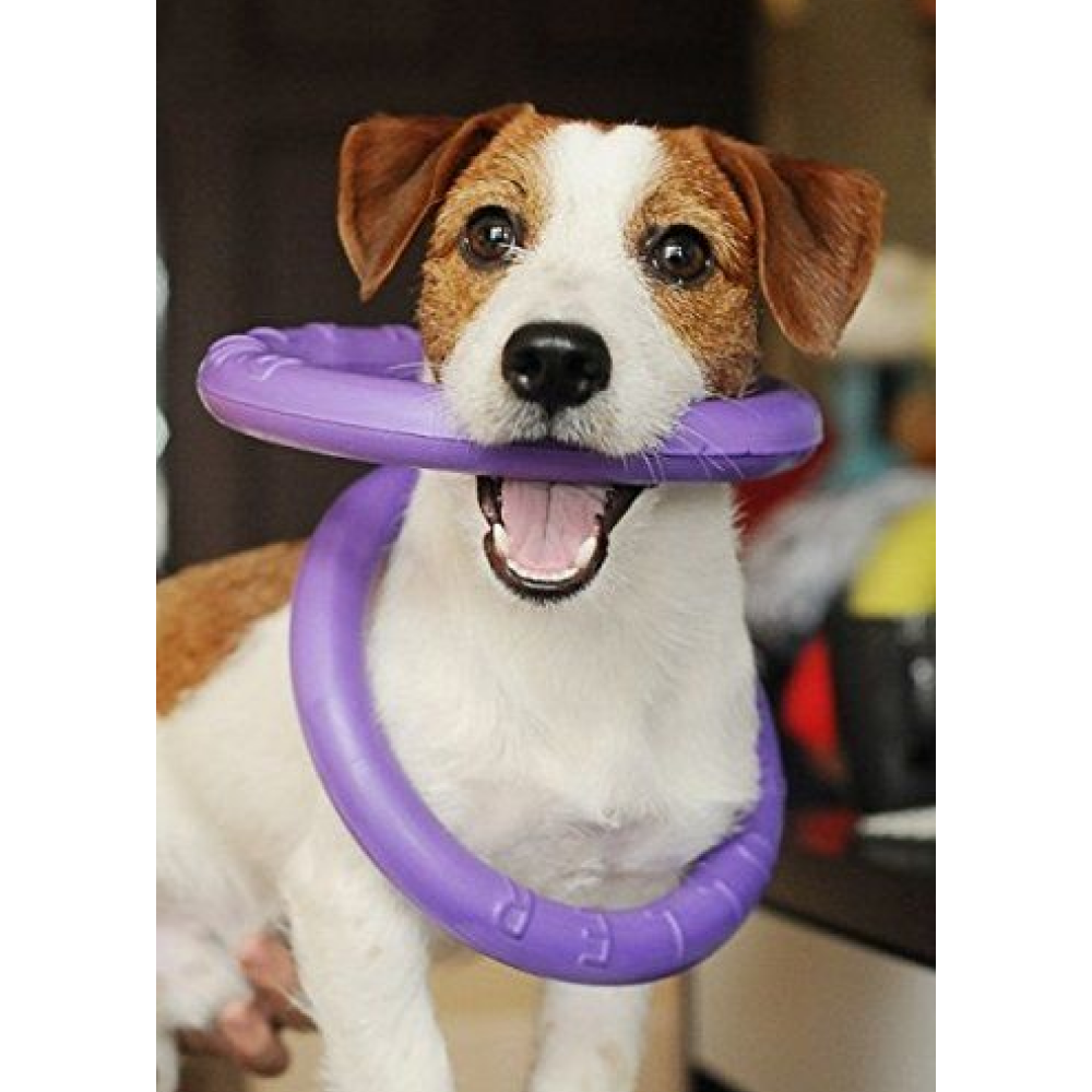 Glenand Training Device Puller Toy for Dogs (Mini Breed)
