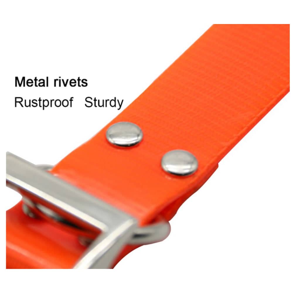 Glenand Petz Matte Finish Collar for Dogs (Orange)