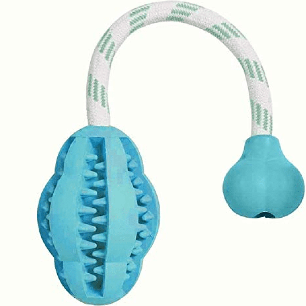 Emily Pets Teething Toy with Rope for Dogs