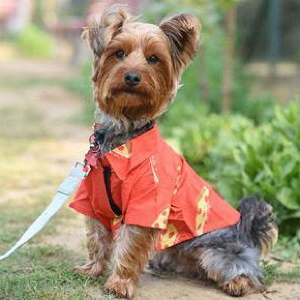 Mutt of Course Pupperoni Pizza Shirt For Dogs