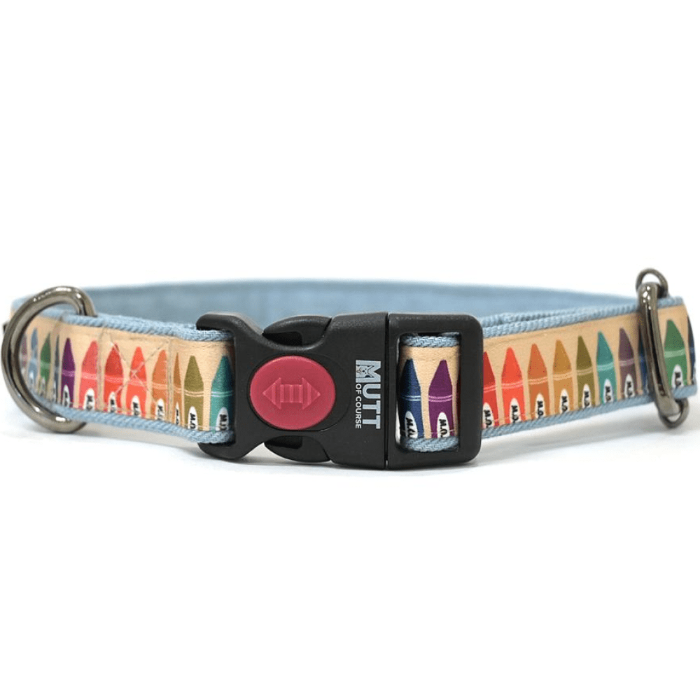 Mutt of Course Cool School Collar for Dogs