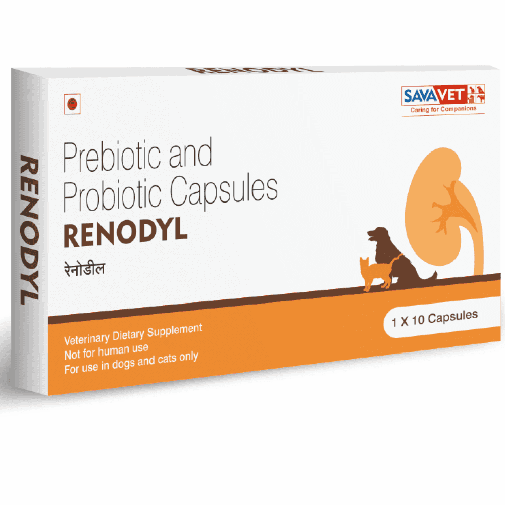 Savavet Renodyl Prebiotics and Probiotics  for Pets
