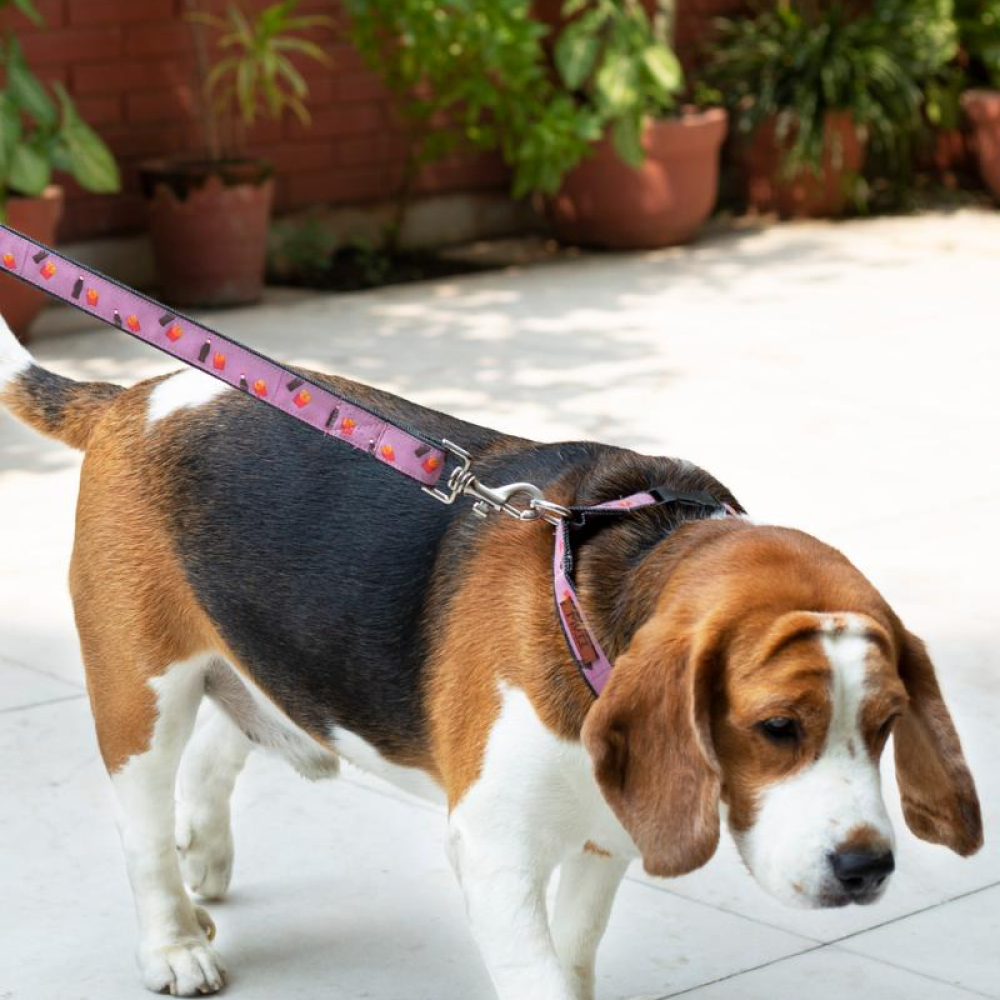 Mutt of Course Cola & Fries Leash for Dogs