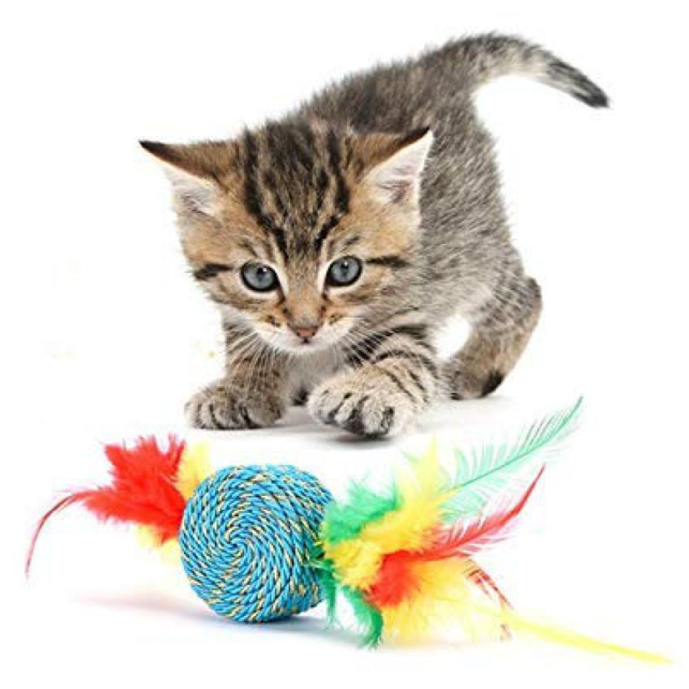 Emily Pets Scratch Toy With Feathers for Pets (Blue)