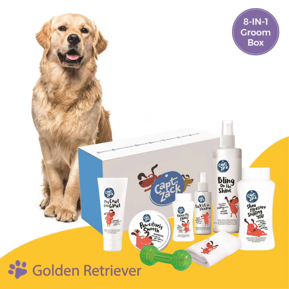 Captain Zack The Golden Retriever Box for Dogs