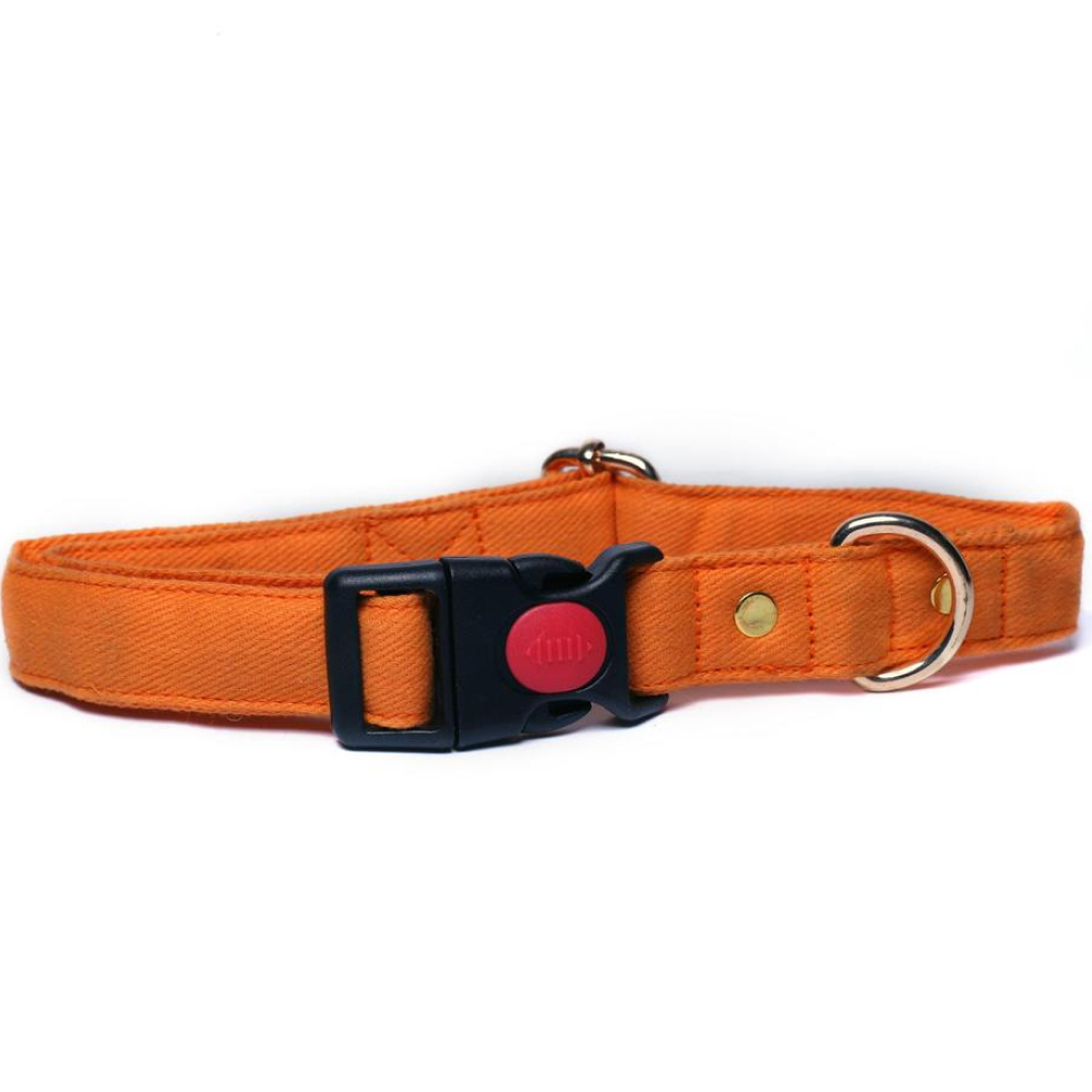 Mutt of Course Collar for Dogs (Goosberry)