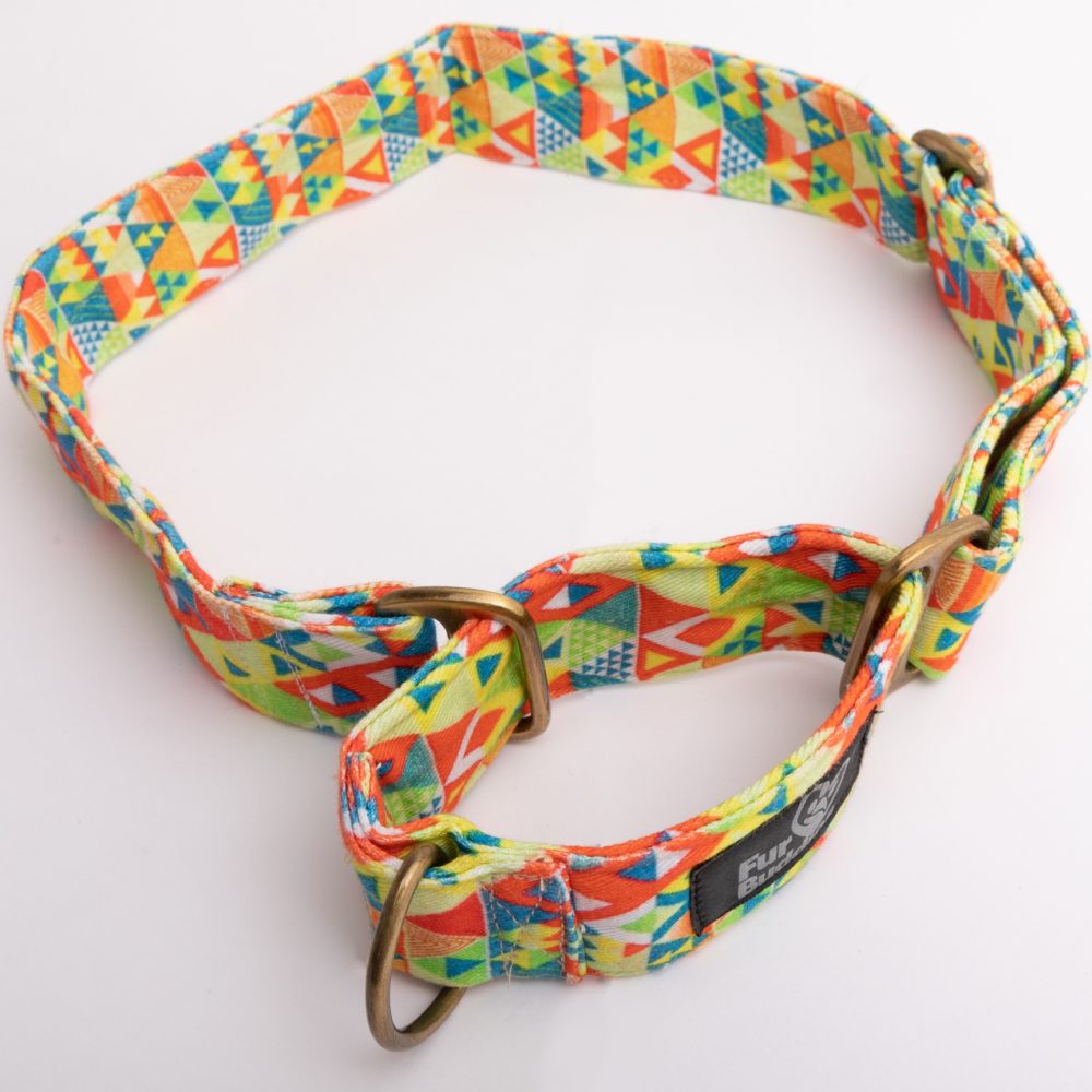 FurBuddies Viva La Vibrance Martingale Collar for Dogs