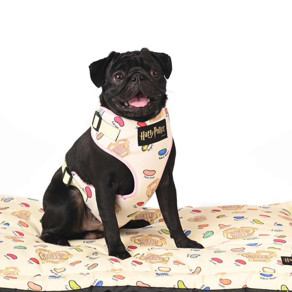 Harry Potter Every Flavour Bean Mat for Pets