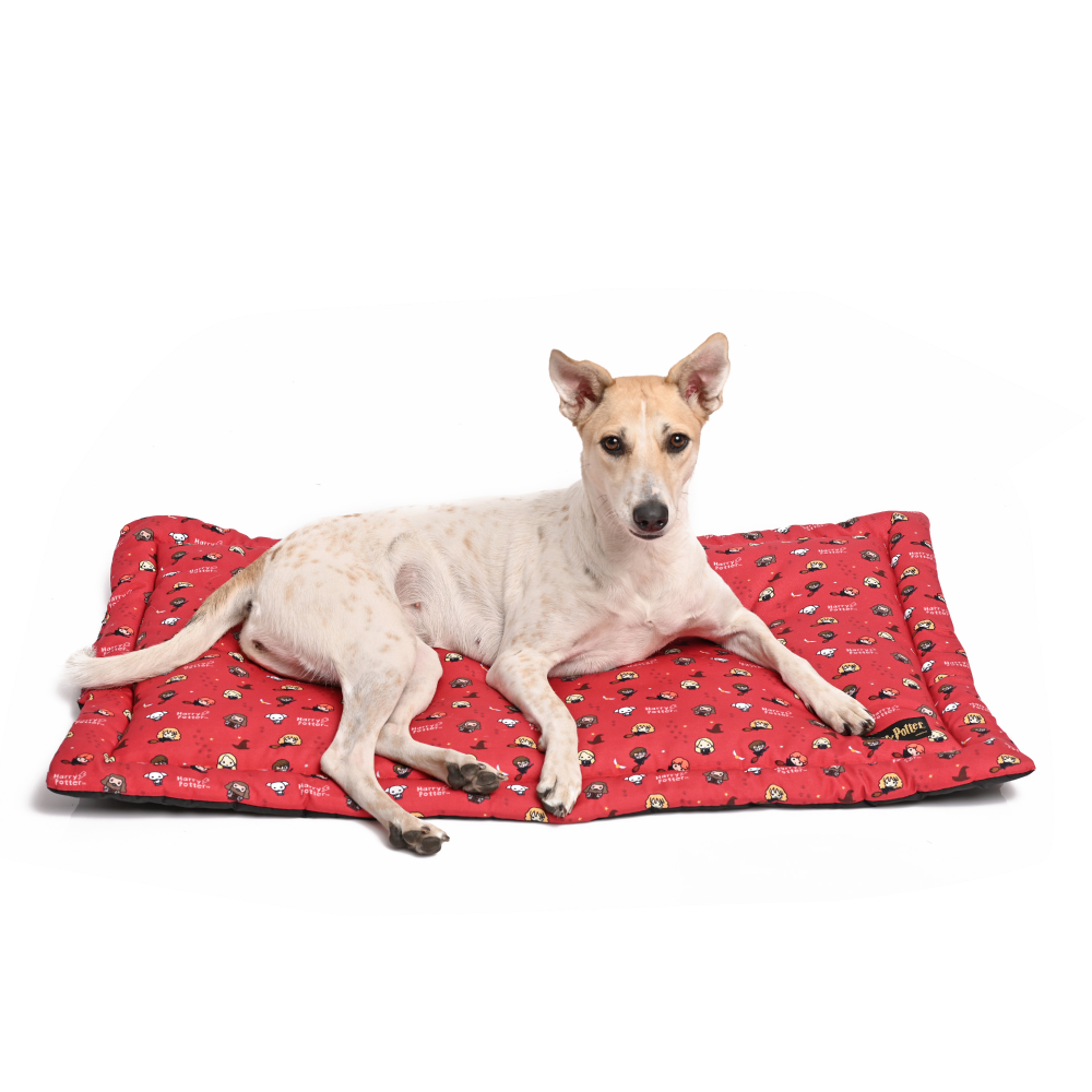 Harry Potter Friends Of Harry Potter Mat for Pets