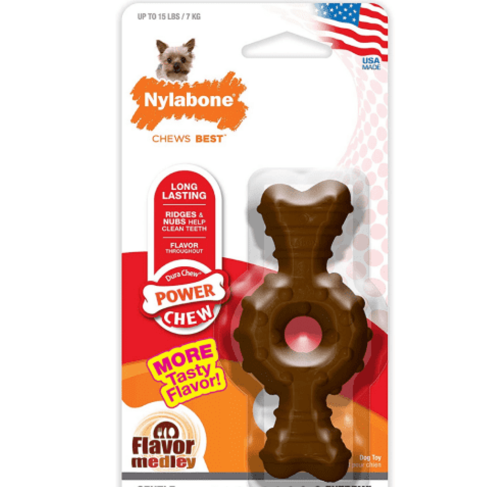 Nylabone Flavor Medley Power Chew Ring Bone Toy for Dogs