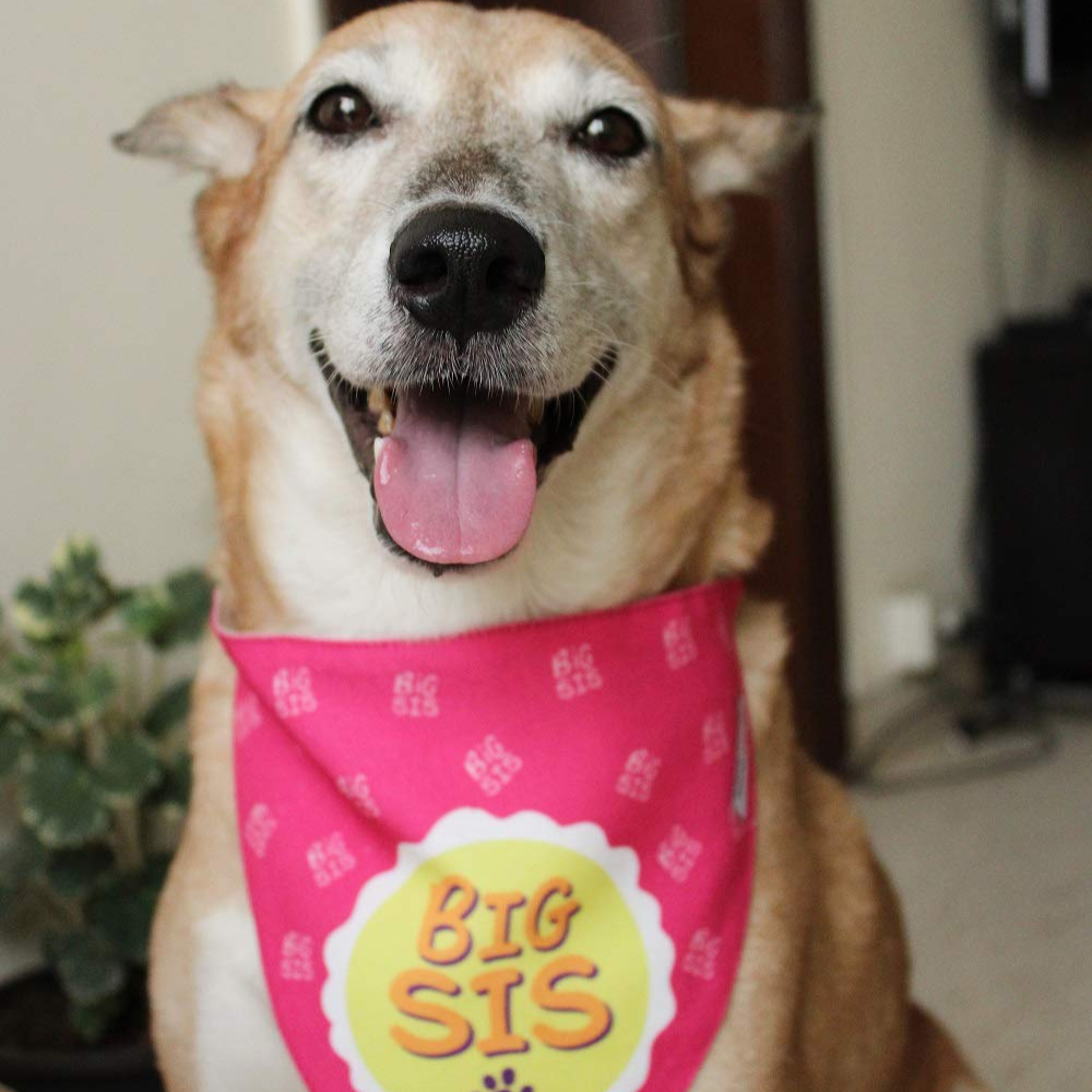 Lana Paws Big Sis Adjustable Dog Bandana/Scarf (Pink)