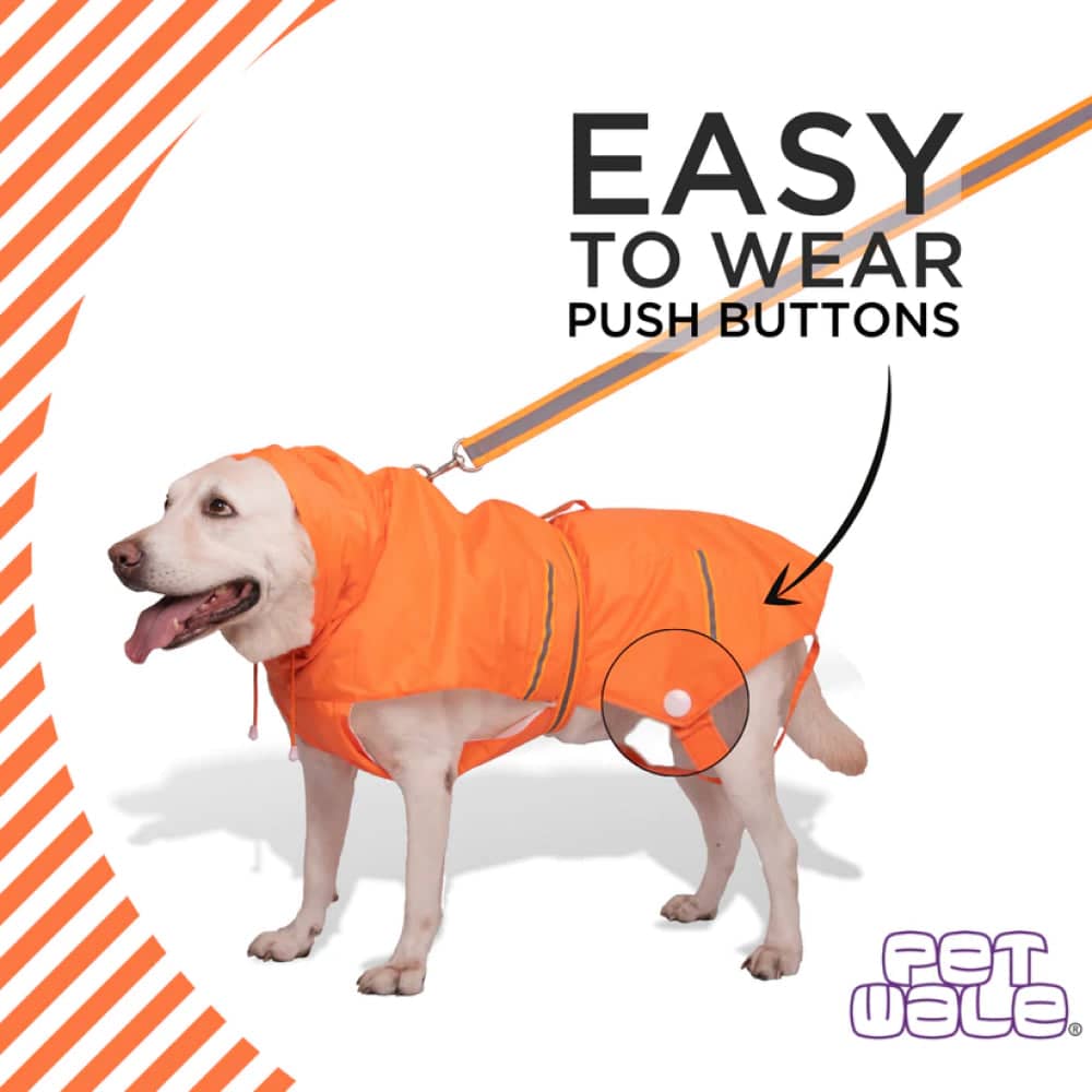 PetWale Reflective Raincoat Dog (Orange)