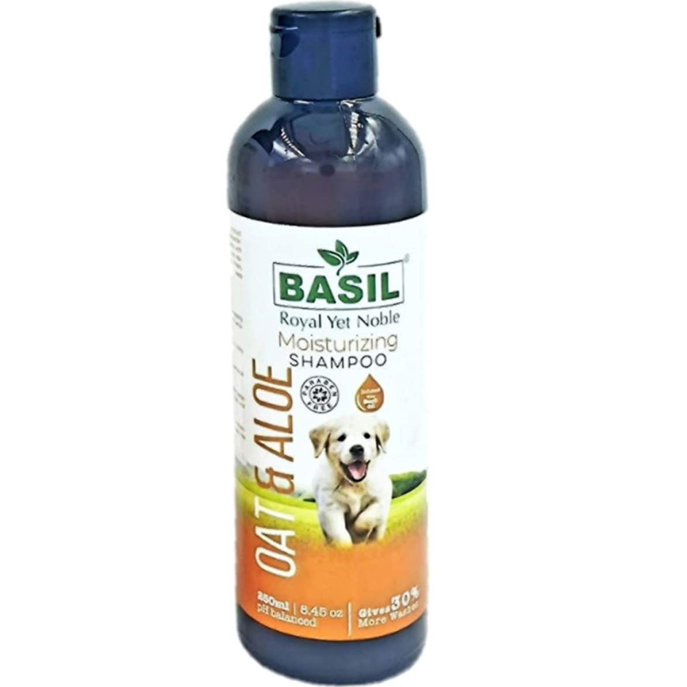 A Combo To Remember for Dogs