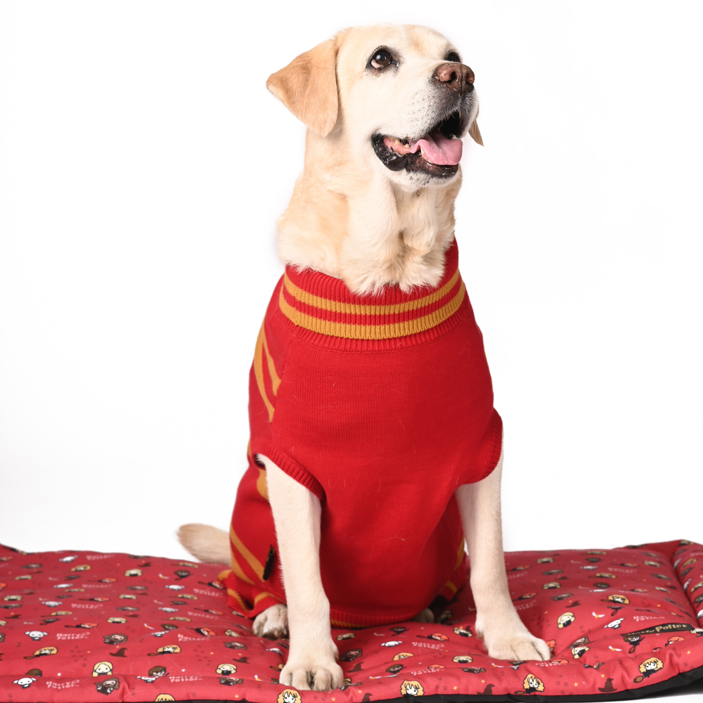 Harry Potter Gryffindor Sweater for Dogs