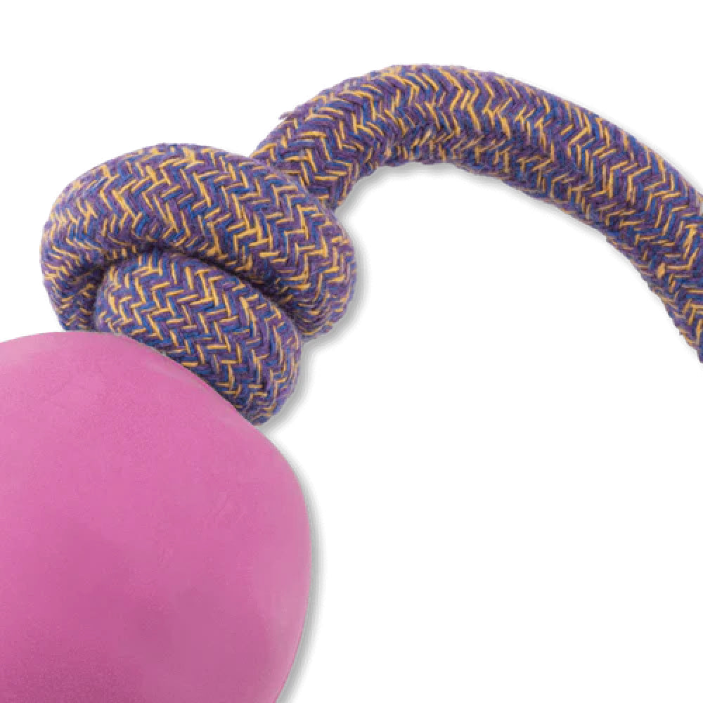 Beco Rubber Ball On Rope Toy for Dogs