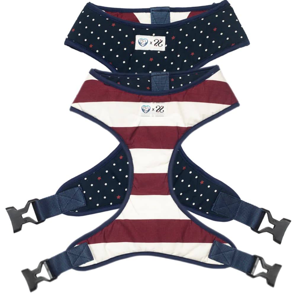 Pet And Parents (Namaste Pets) Starry Stripes Reversible Harness for Dogs