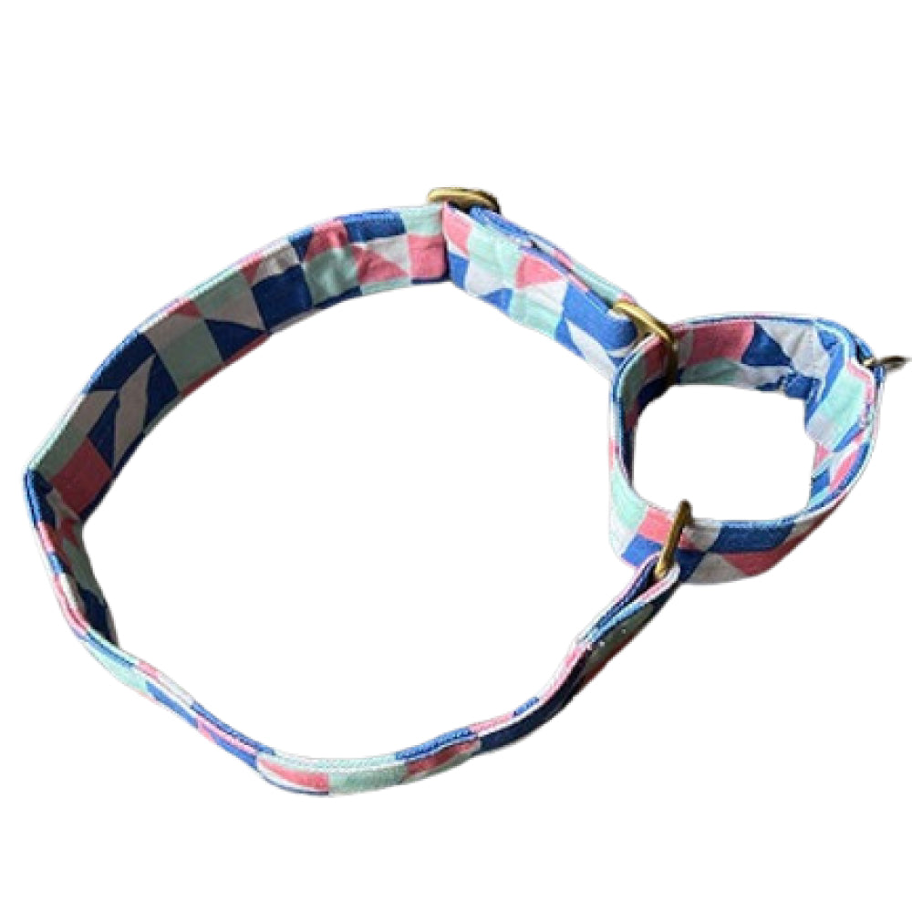 FurBuddies Pep & Pop Martingale Collar for Dogs