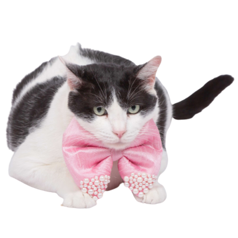 Up4pets Royal Bowtie for Dogs (Pink)