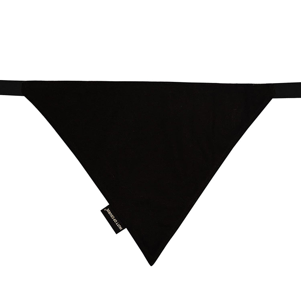 Harry Potter Doggy Dobby Bandana For Dogs