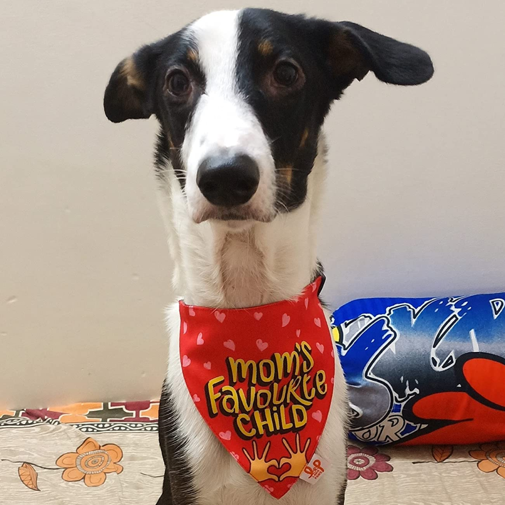 Lana Paws Moms Favourite Child Adjustable Dog Bandana/Scarf