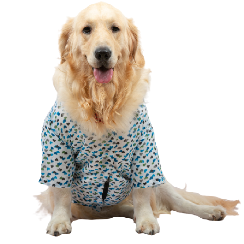 Up4pets Dreamy Hearts Cotton Shirts For Dogs (Blue)