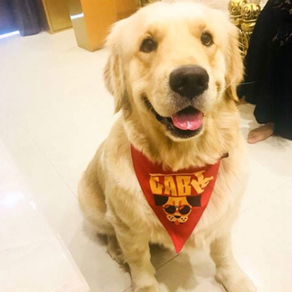 Lana Paws Gabru Adjustable Dog Bandana/ Scarf (Red)