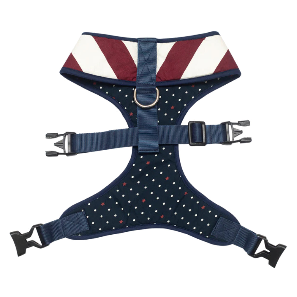 Pet And Parents (Namaste Pets) Starry Stripes Reversible Harness for Dogs