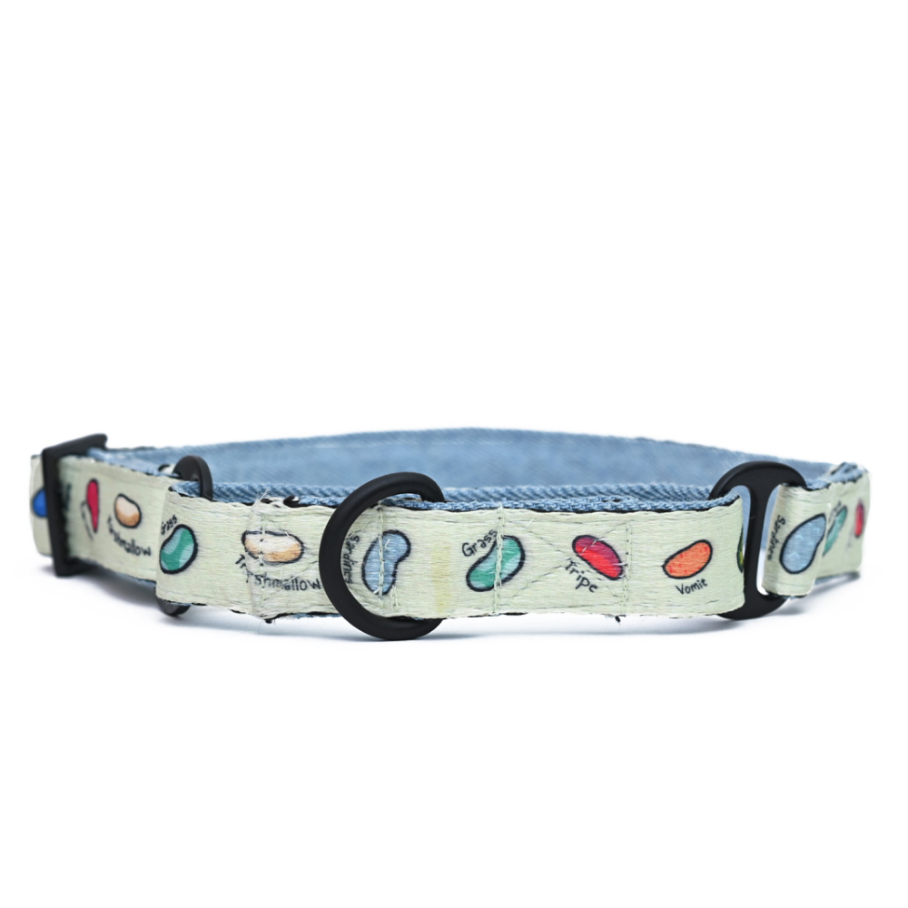Harry Potter Every Flavour Bean Martingale Collar for Dogs