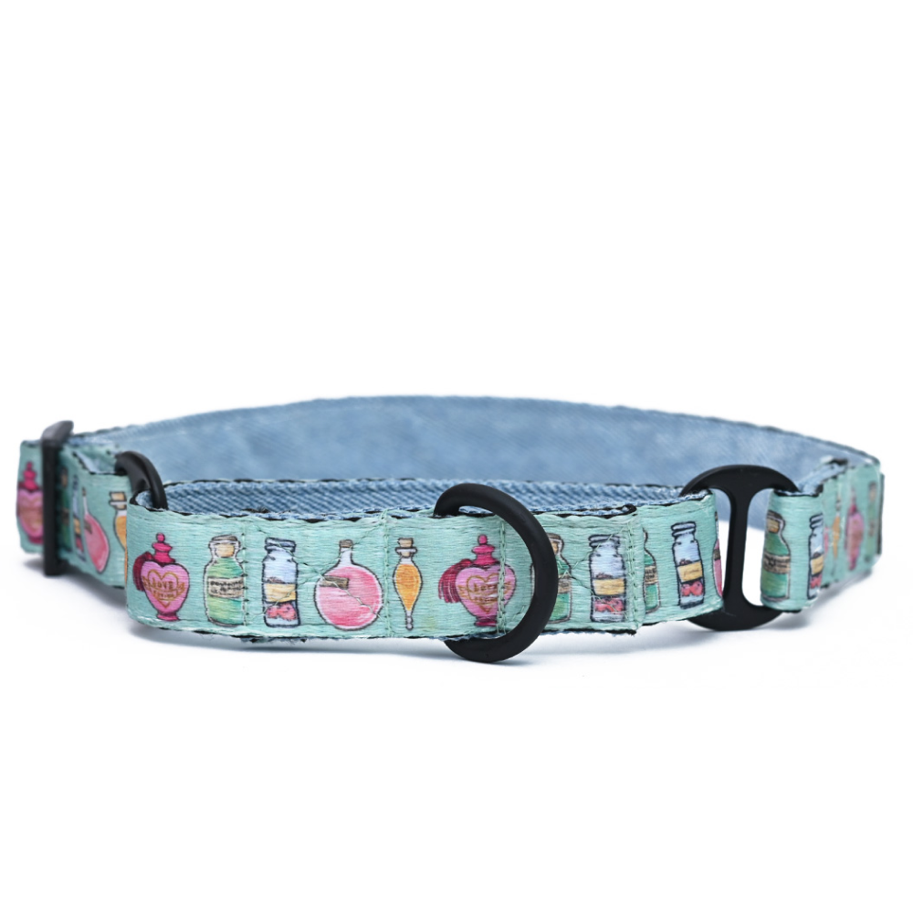 Harry Potter Potions In Motions Martingale Collar for Dogs