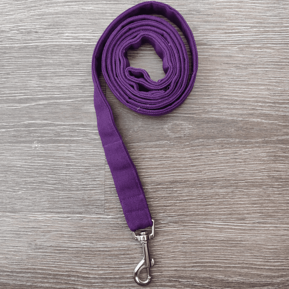 FurBuddies Amethyst Dream Leash for Dogs