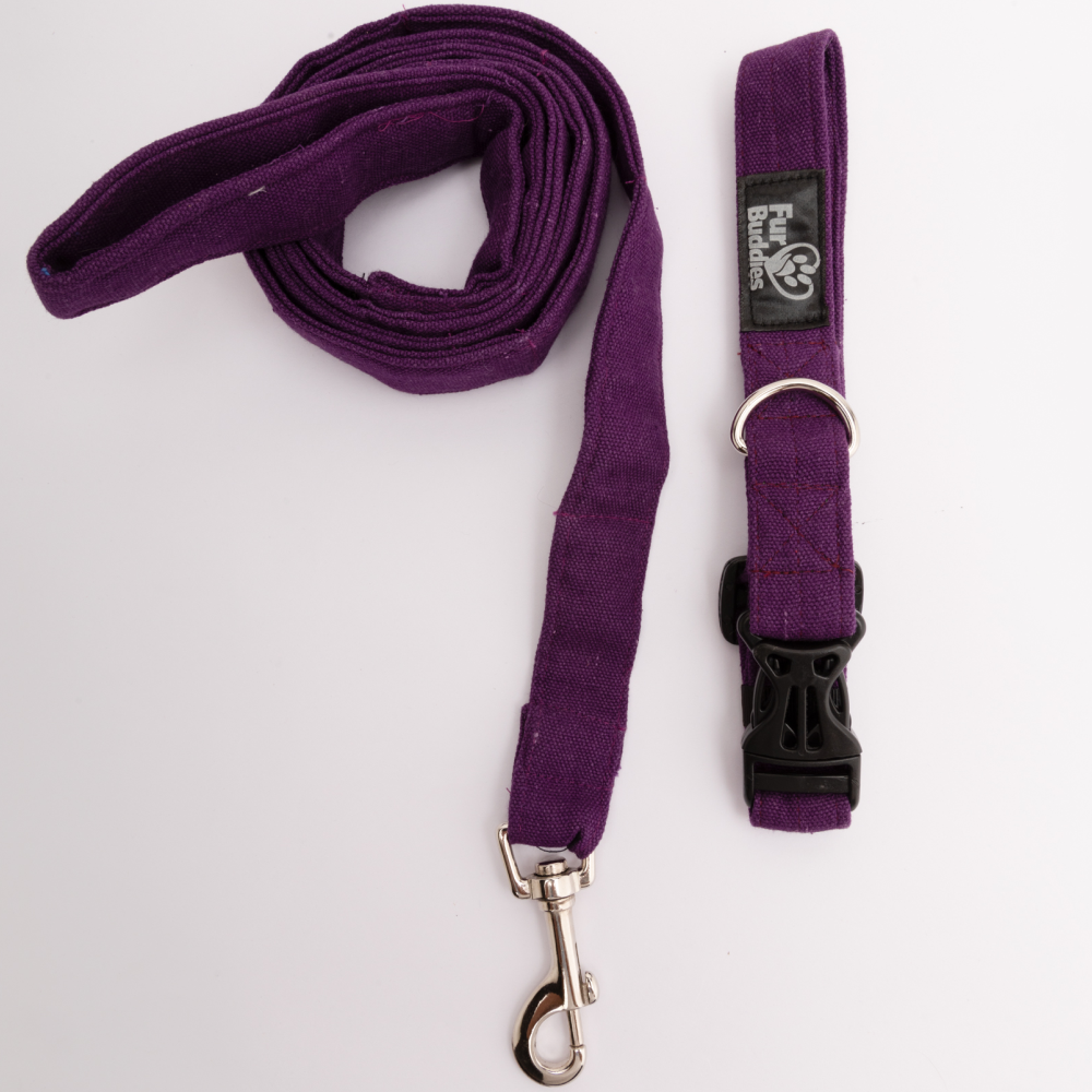 FurBuddies Amethyst Dream Collar & Leash Set for Dogs