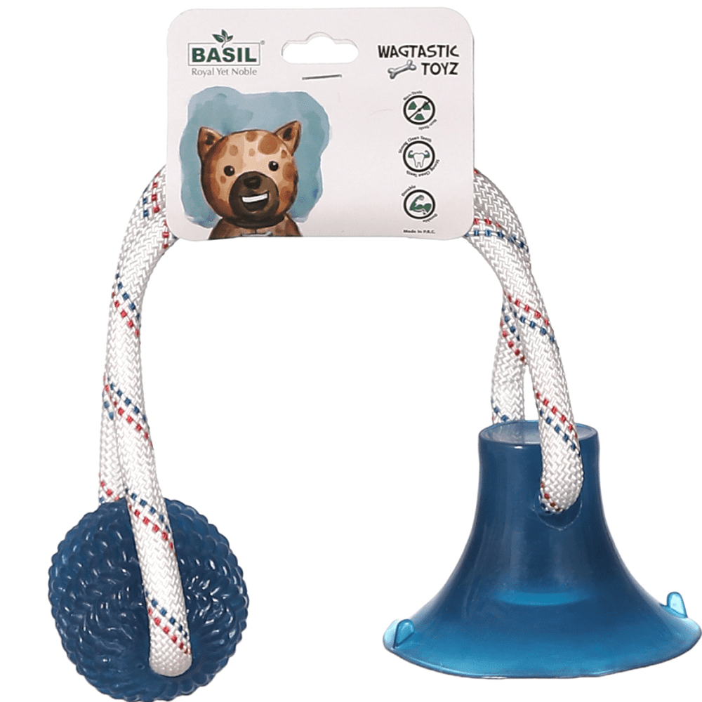 Basil Silicon Vaccum Cup with Rope & Ball Toy (Assorted)