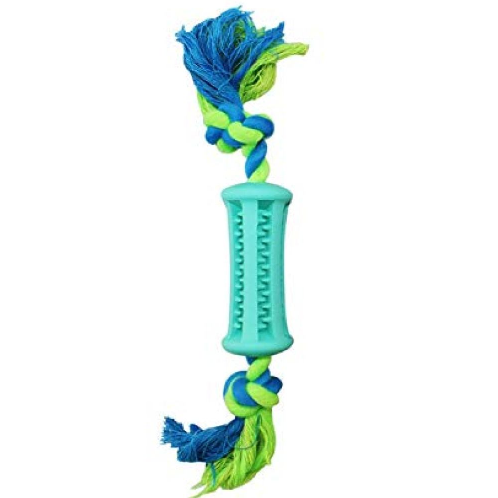 Emily Pets Toothbrush Stick Dental Care Toy with Rope for Dogs