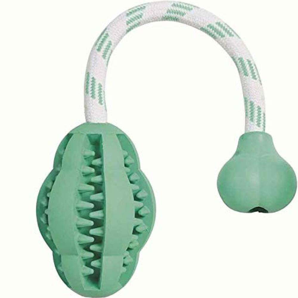 Emily Pets Teething Toy with Rope for Dogs