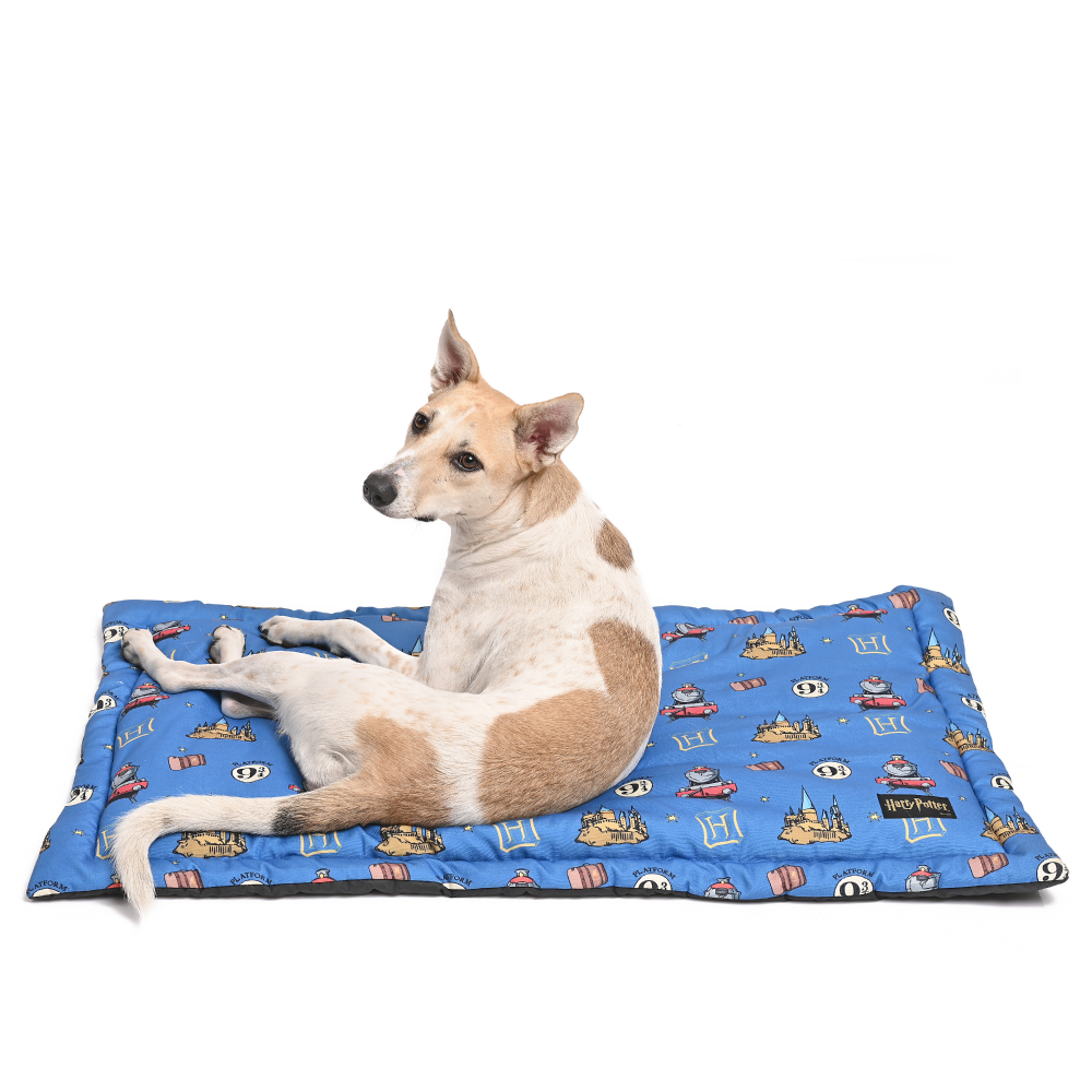 Harry Potter Welcome To Hogwarts Mat for Pets