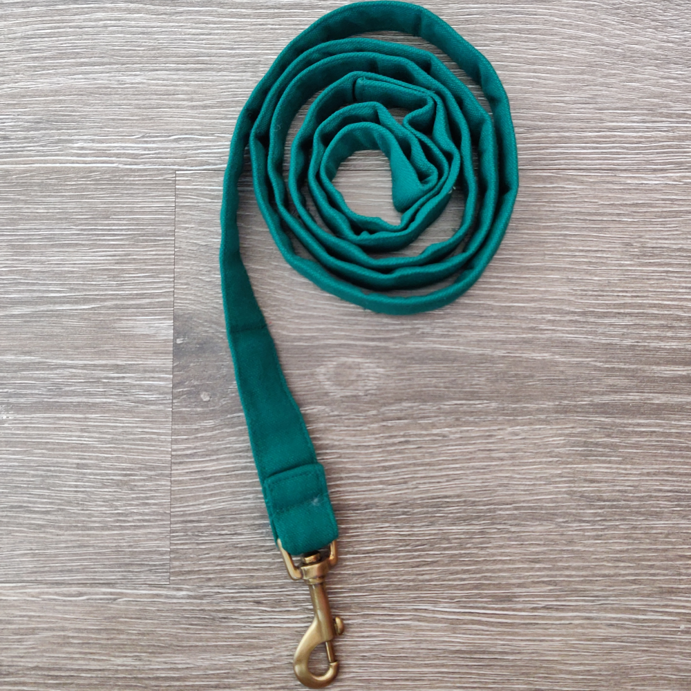 FurBuddies Leash for Dogs (Pine Green)