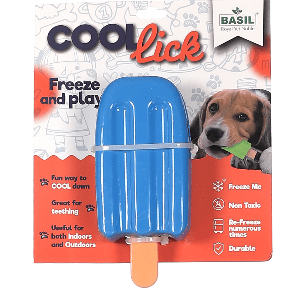Basil Ice Cream Shaped Cool Lick Silicon Toy (Assorted)