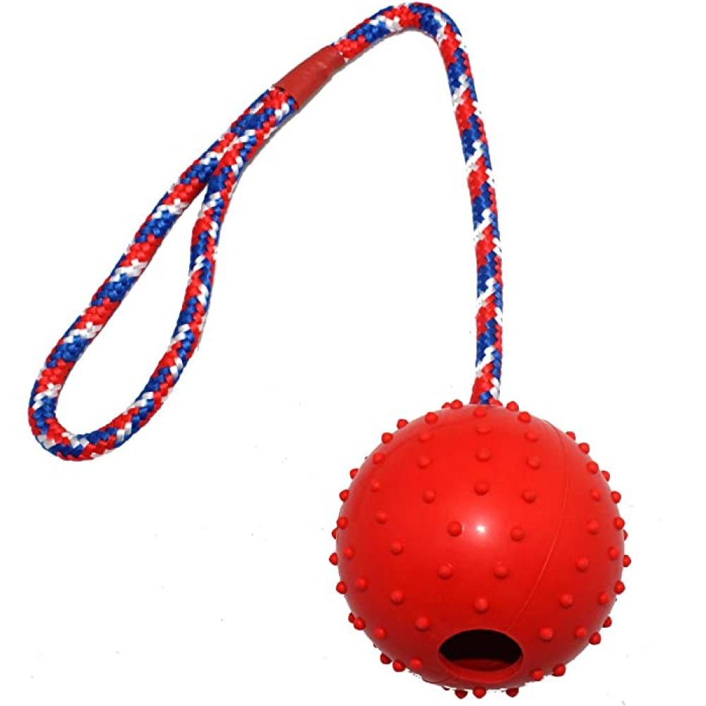 Emily Pets Rubber Ball with Rope Chew Toy for Dogs