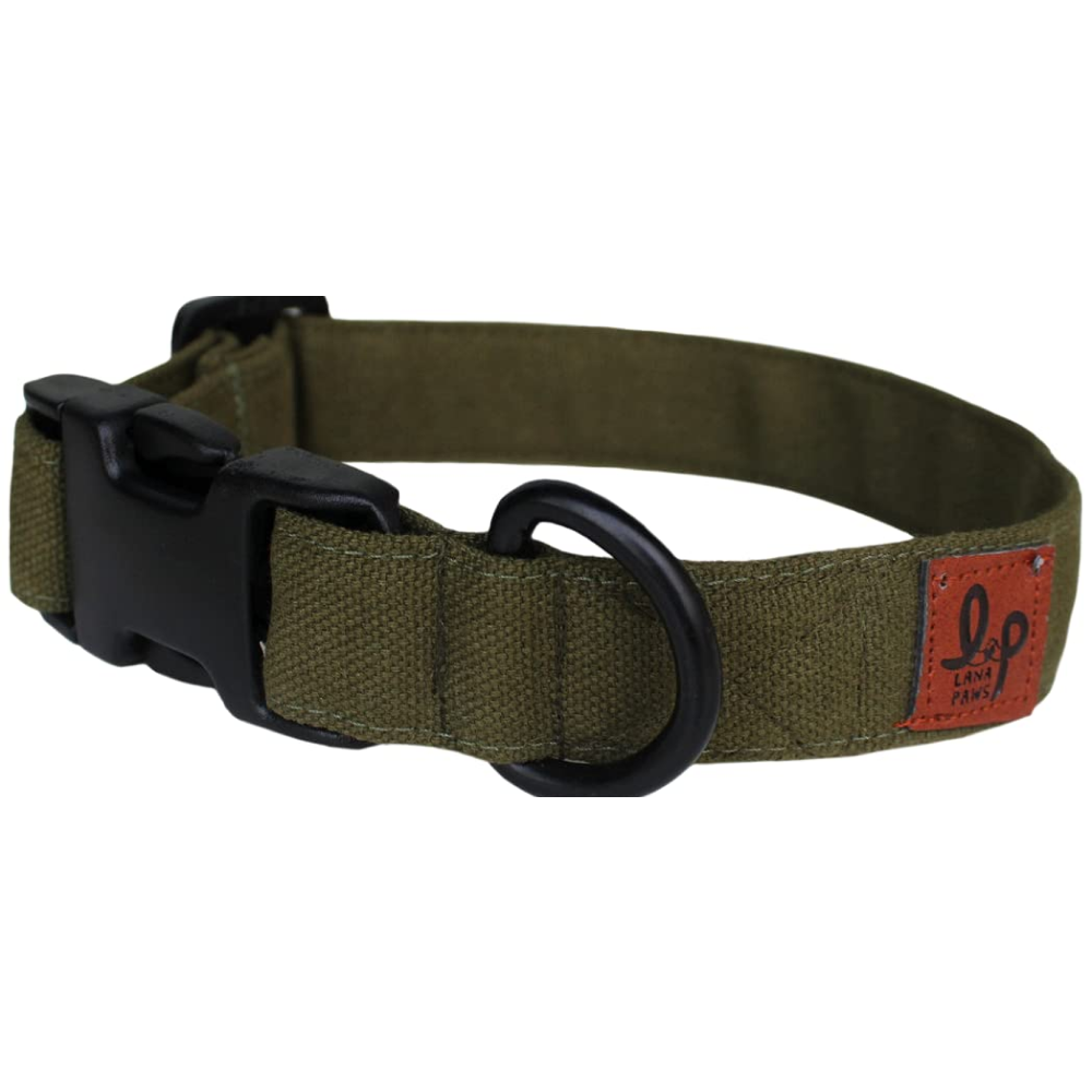Lana Paws Rain Forest/ Olive Canvas Dog Collar