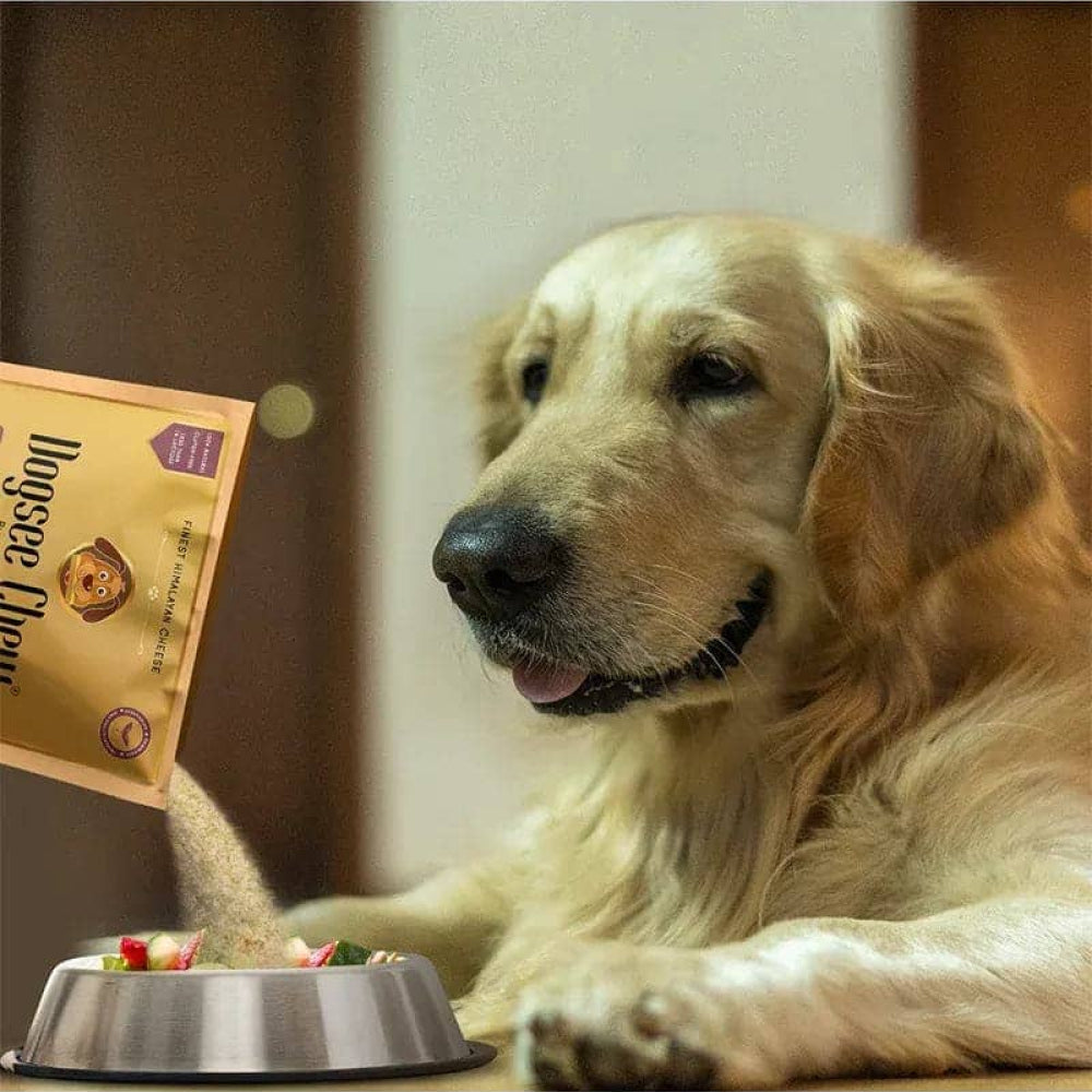 Dogsee Chew Multivitamin Seasoning Powder for Dog Food