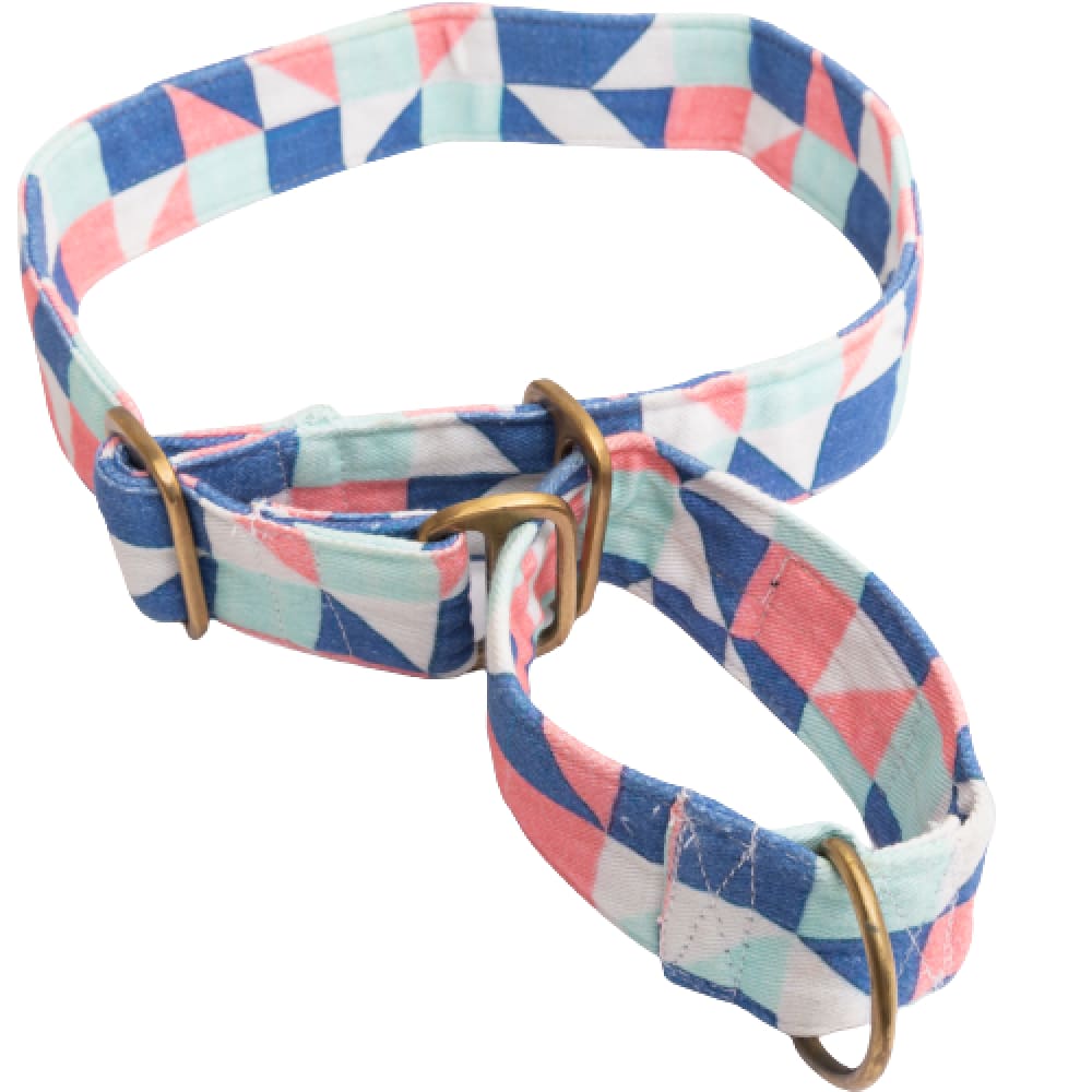 FurBuddies Pep & Pop Martingale Collar for Dogs