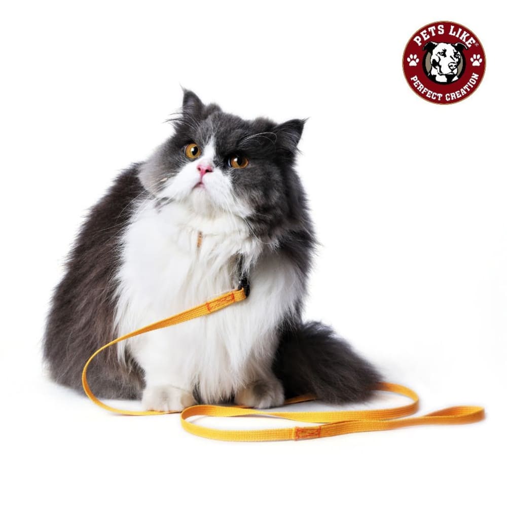 Pets Like Collar & Leash for Cats (Assorted)