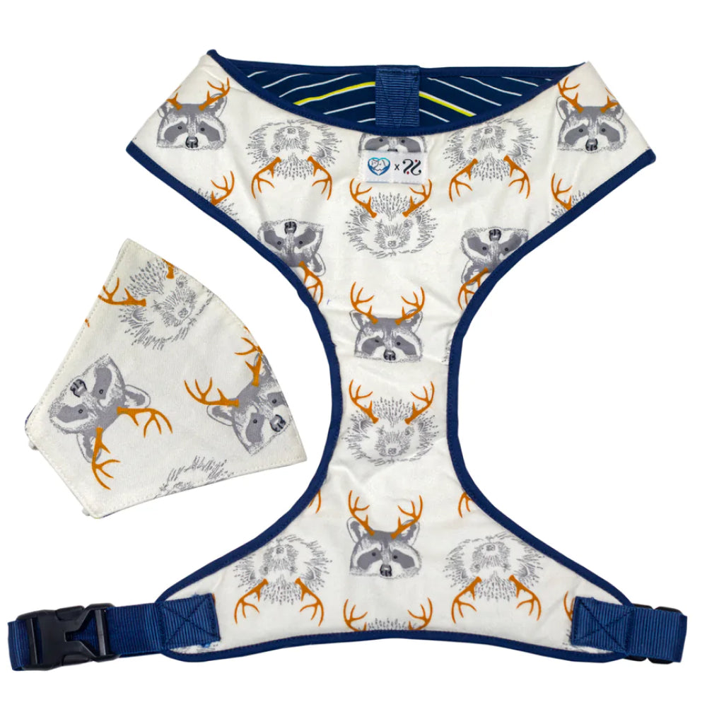 Pet And Parents (Namaste Pets) Stripy Fox Reversible Harness for Dogs