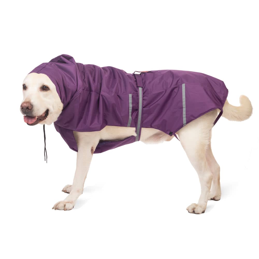 PetWale Reflective Raincoat for Dogs (Purple)