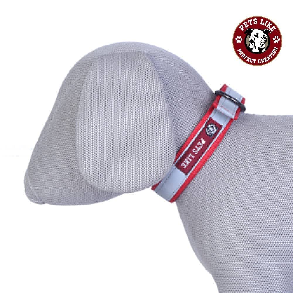 Pets Like Reflective Collar for Dogs (Assorted)
