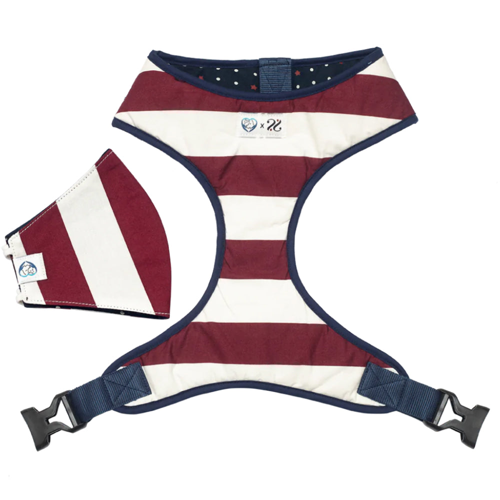 Pet And Parents (Namaste Pets) Starry Stripes Reversible Harness for Dogs