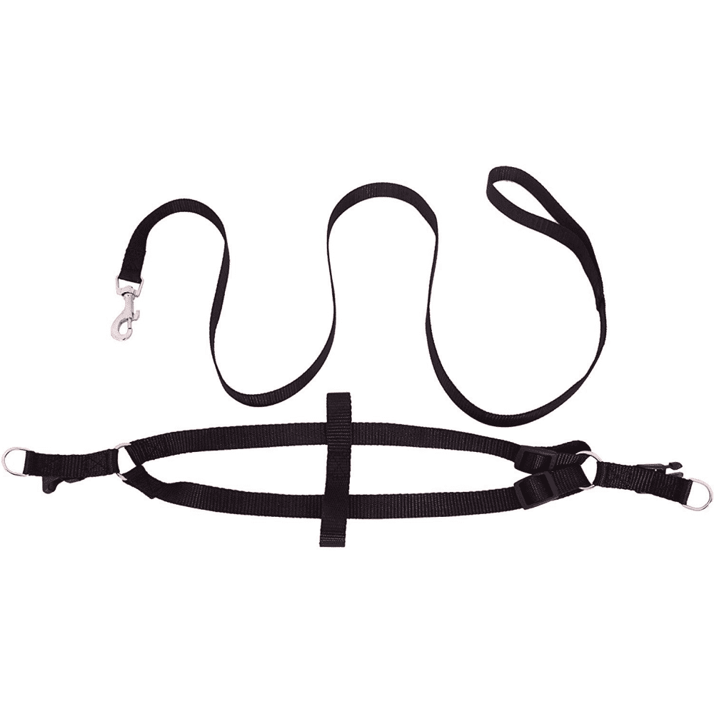 Emily Pets Leash And Harness Set (Black)