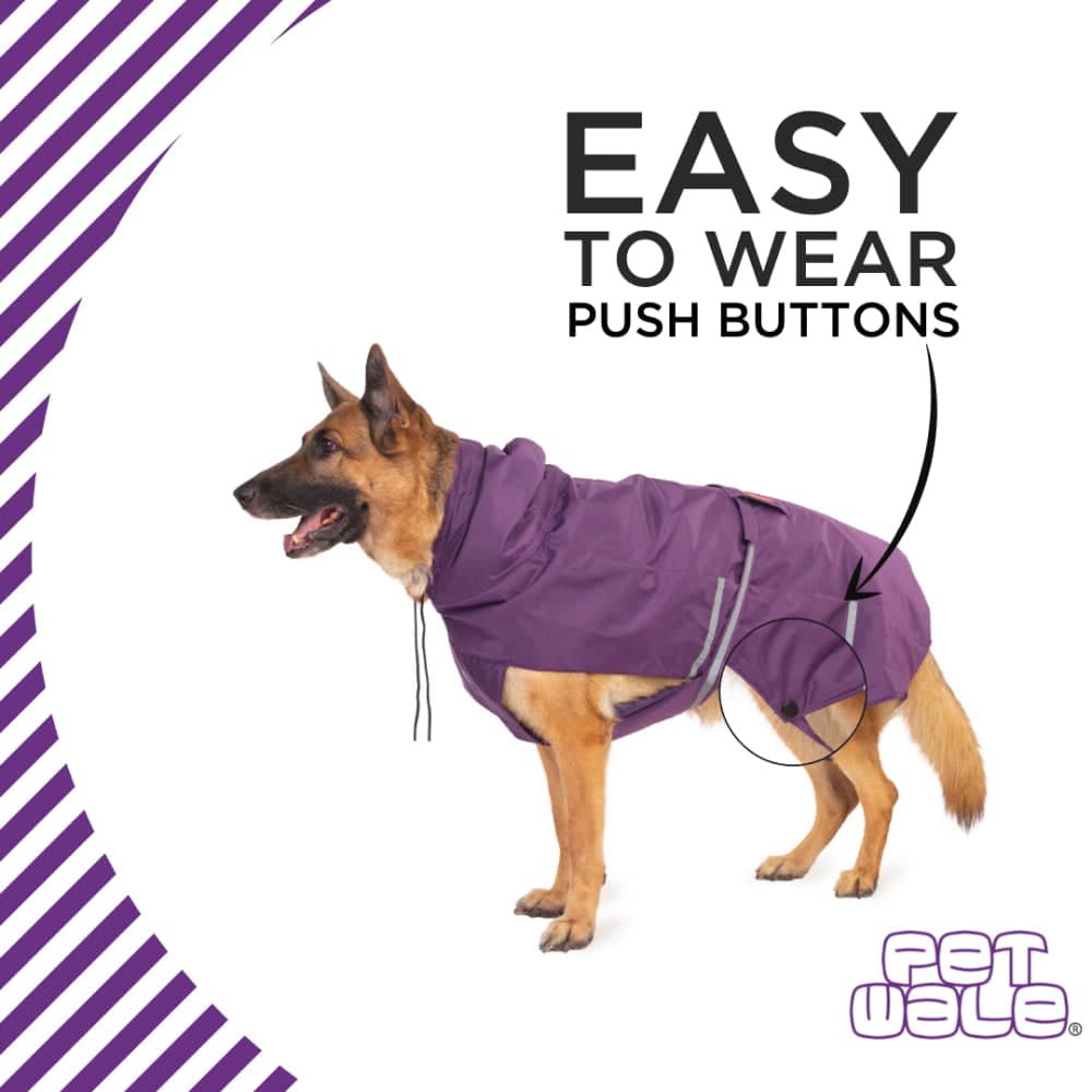 PetWale Reflective Raincoat for Dogs (Purple)