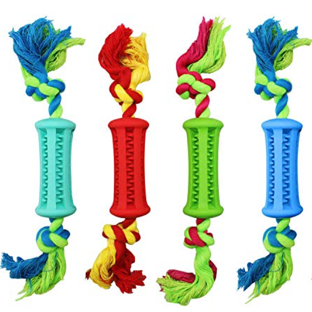 Emily Pets Toothbrush Stick Dental Care Toy with Rope for Dogs